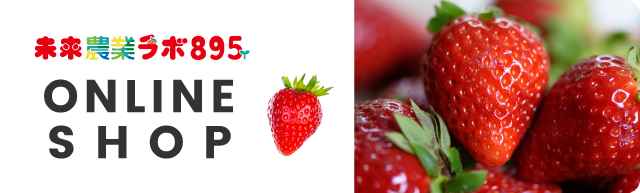 オンラインショップ