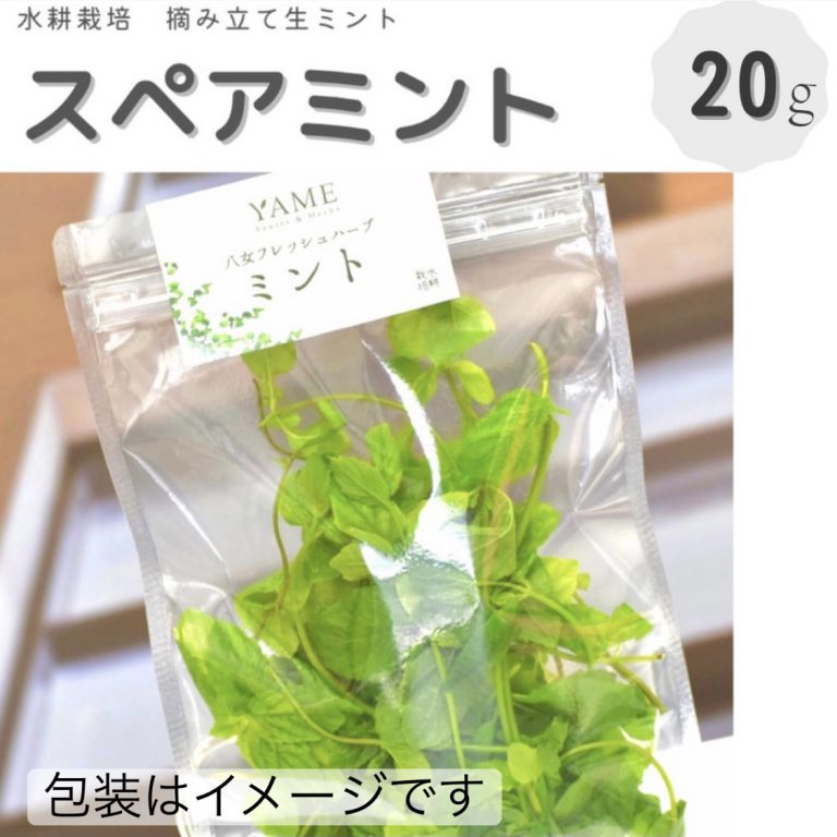 mint20g1