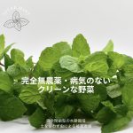 mint50g